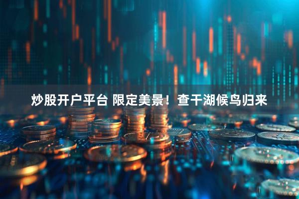 炒股开户平台 限定美景！查干湖候鸟归来